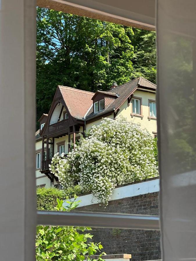 Burgfreiheit Hotel Heidelberg Kültér fotó